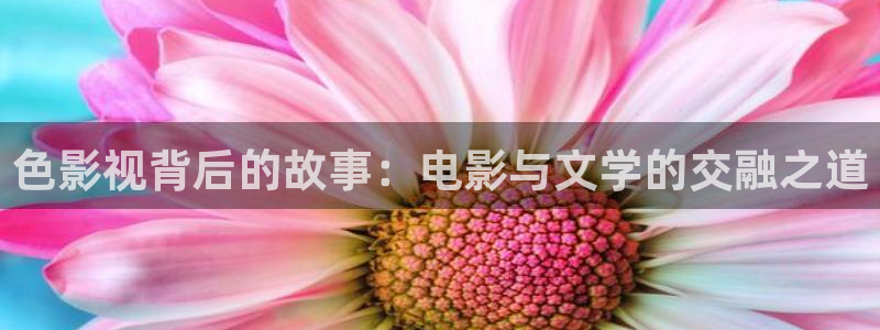 悟空完整