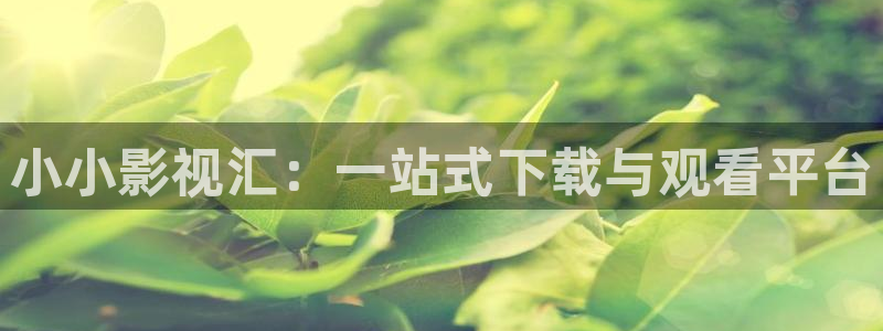悟空影视免费高清在线观看视频