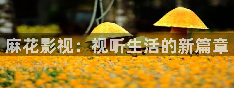 悟空分享影院在线观看：麻花影视：视听生活的新篇章